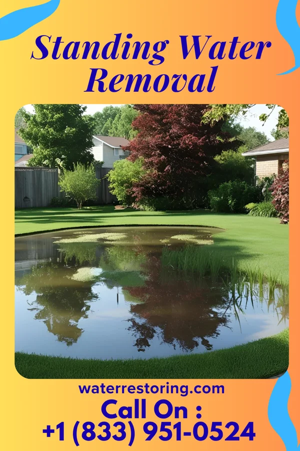 Standing Water Removal in Cypress, IL